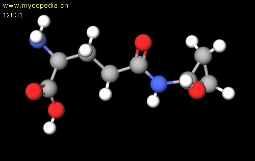 Coprin - 