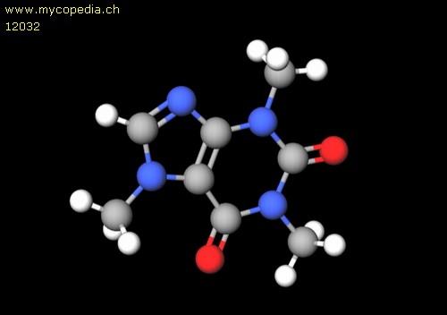 Coprin - 