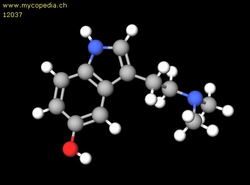 Bufotenin - 