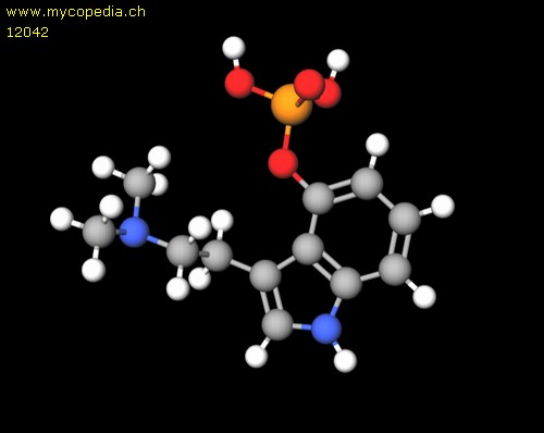 Psilocybin - 