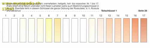 Abgleich der Sporenfarbe - 