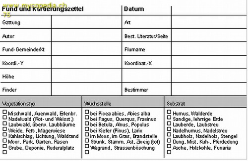 Bestimmungszettel - 