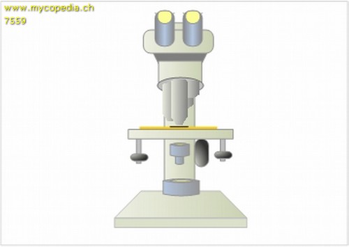 Metachromasie - 