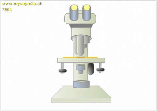 Siderophile Granulation - 