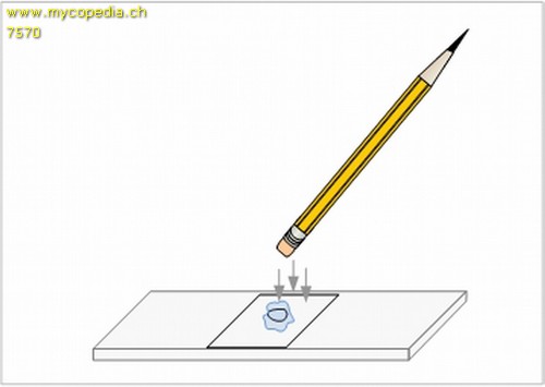 Exsikkate aufweichen - 