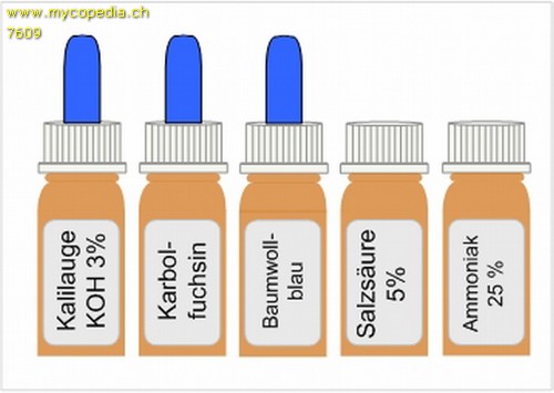 Chemikalien Grundset zur Pilzbestimmung - 