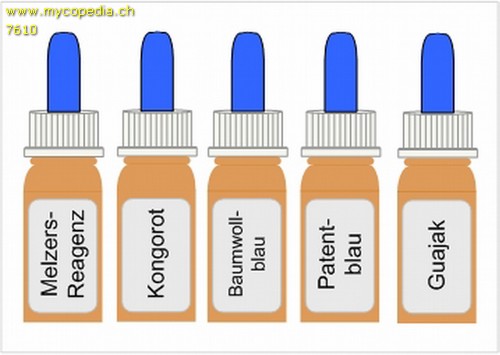 Chemikalien, Reagenzien & deren Anwendung - 