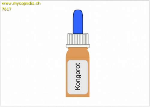 Congorot - 