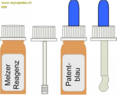 Anwendung & Umgang mit Chemikalien - 