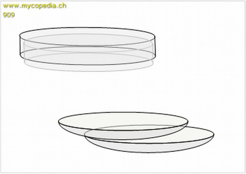 Behlter und Gefsse - 